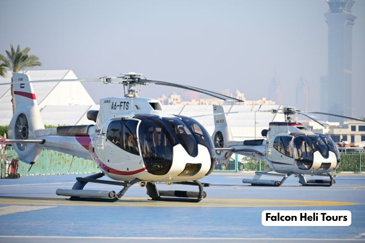 Falcon Heli Tours